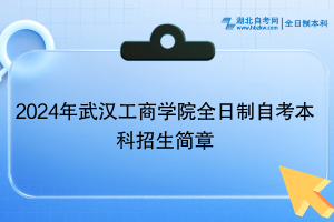2024年武汉工商学院全日制自考本科招生简章