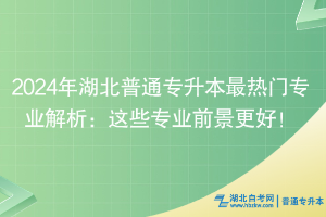 2024年湖北普通专升本最热门专业解析：这些专业前景更好！