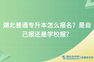 湖北普通专升本怎么报名？是自己报还是学校报？