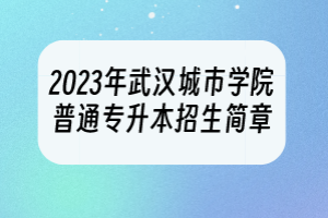 2023年武汉城市学院普通专升本招生简章