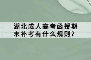 湖北成人高考函授期末补考有什么规则？