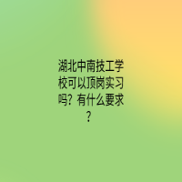 湖北中南技工学校可以顶岗实习吗？有什么要求？