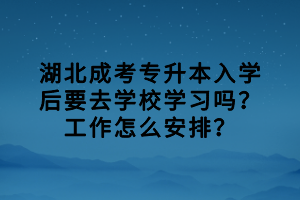 湖北成考专升本入学后要去学校学习吗？工作怎么安排？