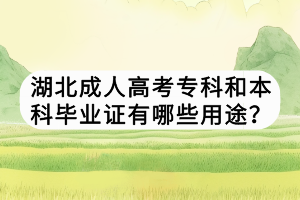 湖北成人高考专科和本科毕业证有哪些用途？