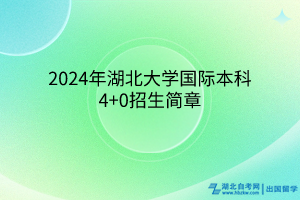 2024年湖北大学国际本科4+0招生简章