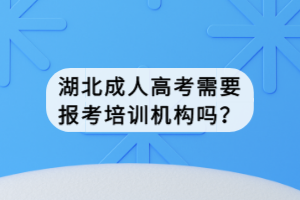 湖北成人高考需要报考培训机构吗？