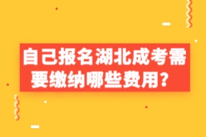 自己报名湖北成考需要缴纳哪些费用？