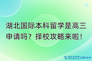 湖北国际本科留学是高三申请吗？择校攻略来啦！