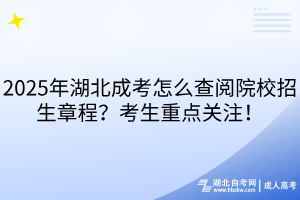 2025年湖北成考怎么查阅院校招生章程？考生重点关注！