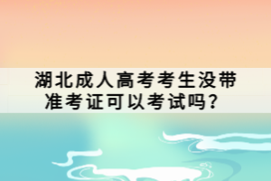 湖北成人高考考生没带准考证可以考试吗？