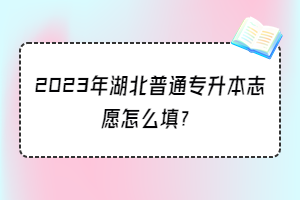 2023年湖北普通专升本志愿怎么填？