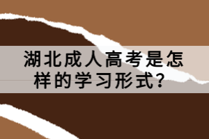 湖北成人高考是怎样的学习形式？