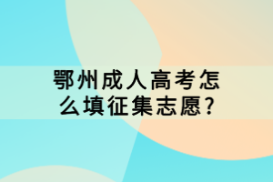 鄂州成人高考怎么填征集志愿?