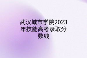 武汉城市学院2023年技能高考录取分数线