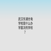 武汉东湖光电学校是什么办学层次的学校？