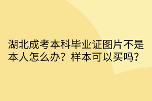 湖北成考本科毕业证图片不是本人怎么办？样本可以买吗？