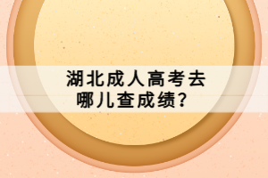 湖北成人高考去哪儿查成绩？