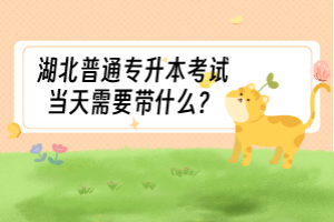 湖北普通专升本考试当天需要带什么？