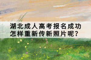 湖北成人高考报名成功怎样重新传新照片呢？