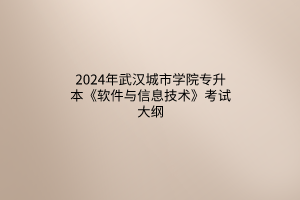 2024年武汉城市学院专升本《软件与信息技术》考试大纲
