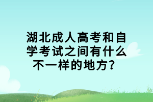 湖北成人高考和自学考试之间有什么不一样的地方？
