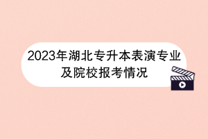 2023年湖北专升本表演专业及院校报考情况