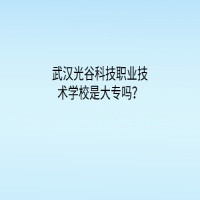 武汉光谷科技职业技术学校是大专吗？