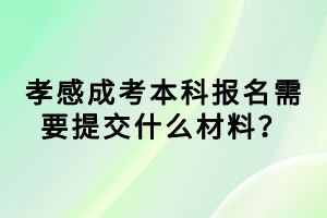 孝感成考本科报名需要提交什么材料？