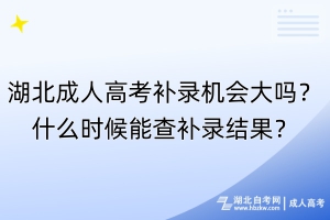湖北成人高考补录机会大吗？什么时候能查补录结果？