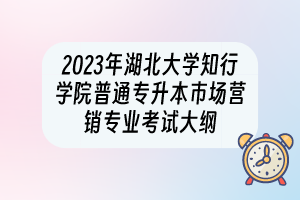 2023年湖北大学知行学院普通专升本市场营销专业考试大纲