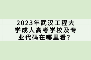 2023年武汉工程大学成人高考学校及专业代码在哪里看？