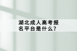 湖北成人高考报名平台是什么？