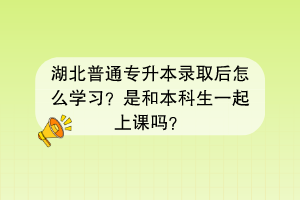 湖北普通专升本录取后怎么学习？是和本科生一起上课吗？