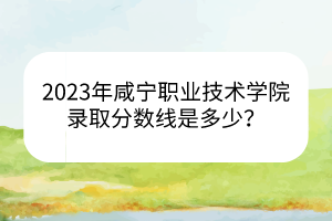 2023年咸宁职业技术学院录取分数线是多少？