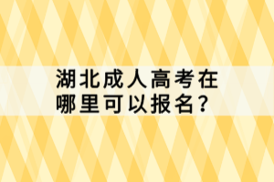 湖北成人高考在哪里可以报名？