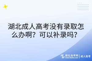 湖北成人高考没有录取怎么办？可以补录吗？
