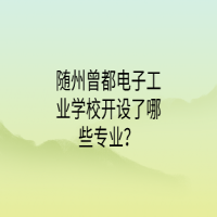 随州曾都电子工业学校开设了哪些专业？