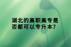 湖北的高职高专是否都可以专升本？