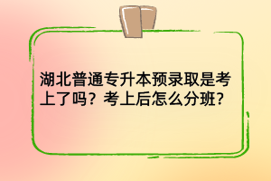 湖北普通专升本预录取是考上了吗？考上后怎么分班？