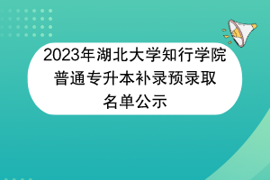 2023年湖北大学知行学院普通专升本补录预录取名单公示