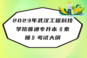 2023年武汉工程科技学院普通专升本《素描》考试大纲