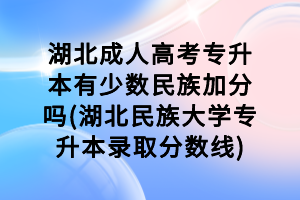湖北成人高考专升本有少数民族加分吗(湖北民族大学专升本录取分数线)