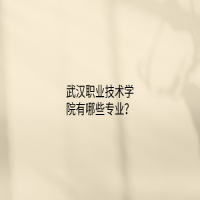 武汉职业技术学院有哪些专业？