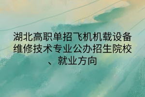 湖北高职单招飞机机载设备维修技术专业公办招生院校、就业方向