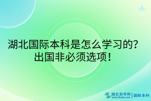 湖北国际本科是怎么学习的？出国非必须选项！