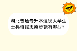 湖北普通专升本退役大学生士兵填报志愿步骤有哪些？