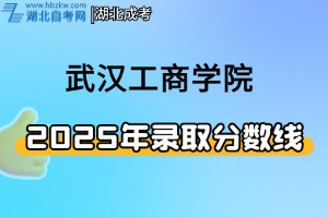 2025年武汉工商学院专业录取分数线——美术类
