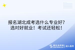 报名湖北成考选什么专业好？选对好就业！考试还轻松！
