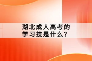 湖北成人高考的学习技是什么？