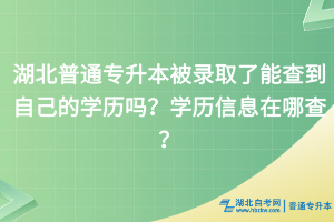 湖北普通专升本被录取了能查到自己的学历吗？学历信息在哪查？